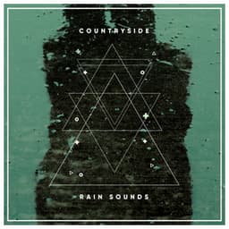 #10 Countryside Rain Sounds to Sleep Eight Hours - Ambient Forest