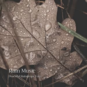 Rain Music: Peaceful Raindrops Vol. 1 - Natures Acoustics