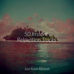 50 Instant Relaxation Tracks - Meditation Relaxation Club