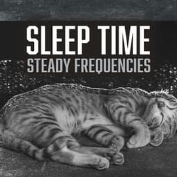 Steady Frequencies - Sleep Time