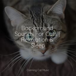 Background Sounds For Cats | Relaxation & Sleep - Pet Care Club