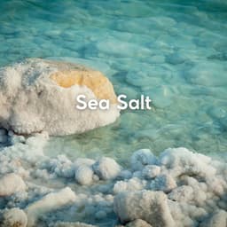 Sea Salt - Relaxing Ocean Sounds