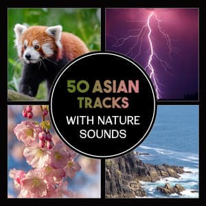 50 Asian Tracks with Nature Sounds – Tranquil Music for Mind & Body Relaxation, Mindfulness Meditation, Spa Massage, Deep Sleep - Harmony Nature Sounds Academy