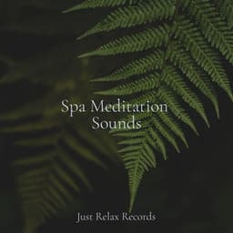 Spa Meditation Sounds - Musica para Dormir Dream House