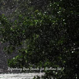 Refreshing Rain Sounds for Bedtime Vol. 1 - Nature Radio 1