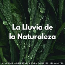 La Lluvia De La Naturaleza: Melodías Ambientales Para Masajes Relajantes - Lluvia Relajante
