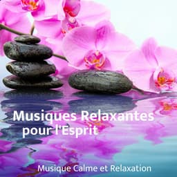 Musiques relaxantes pour l'esprit - Musique Calme et Relaxation