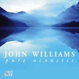 Pure Acoustic - John C. Williams