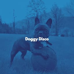 Doggy Disco - Música para Tiendas Minoristas