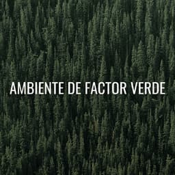 Ambiente De Factor Verde - Verde 5
