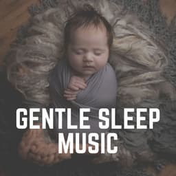 Gentle Sleep Music - Sleeping Music