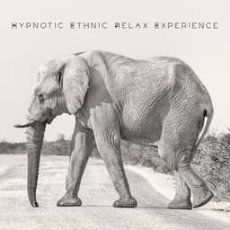 Hypnotic Ethnic Relax Experience - Spiritual African Chants, Ritual of Purification, Soothing Tribal Sounds - Unleash Blissful Calm