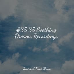 #35 35 Soothing Dreams Recordings - Happy Baby Lullaby Collection