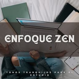 Enfoque Zen: Tonos Tranquilos Para El Estudio - Sonidos De Todos Ruídos