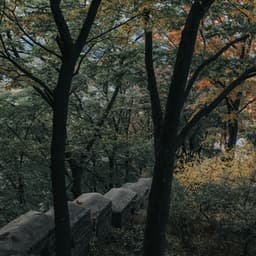 Serene Sounds | Spa & Serenity - The Sleep Helpers