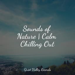 Sounds of Nature | Calm Chilling Out - Soothing Music Academy
