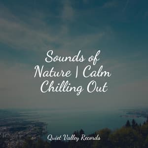 Sounds of Nature | Calm Chilling Out - Soothing Music Academy