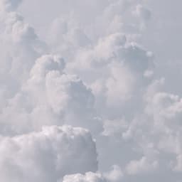 50 White Noise Sounds: Sleep Symphony - Focus Noise