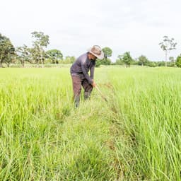 Ethereal Efforts: Work with Rain Meditation Music - Co-Working Music Playlist