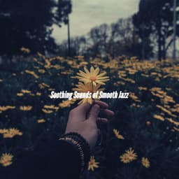 Soothing Sounds of Smooth Jazz - Coffee Table Jazz Radio