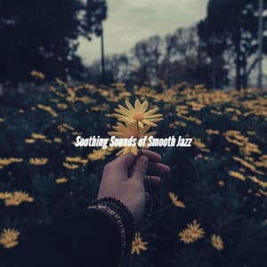 Soothing Sounds of Smooth Jazz - Coffee Table Jazz Radio