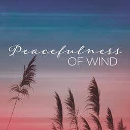 Peacefulness of Wind: Harmonic Sounds to Unwind Your Anxiety, Wind Noise for Sleep and Total Comfort - Relaxation Meditation Songs Divine