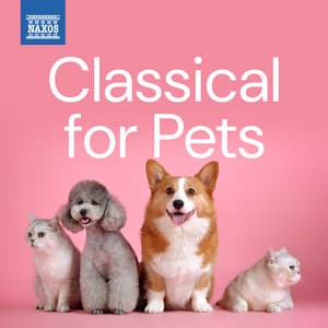 Classical for Pets - Sergei Rachmaninoff