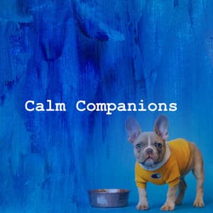 Calm Companions - Calming Dog Music