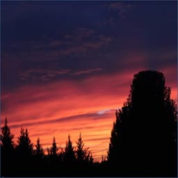 Wind Chimes - Carillons éoliens