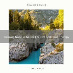 2020 Best: Calming Noise Of Nature For Rest And Noise Therapy - Soft Water Streams Sounds