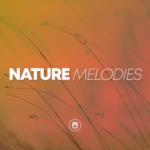 Nature Melodies - Heavy Rain Sounds