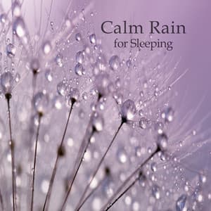 Calm Rain for Sleeping - Ruído Branco