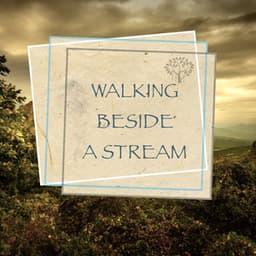 Walking Beside a Stream - Nature Sounds
