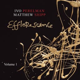 Efflorescence, Vol. 1 - Ivo Perelman