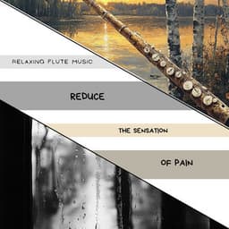 Reduce the Sensation of Pain - Relaxing Flute Music