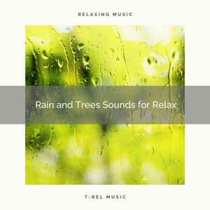Rain and Trees Sounds for Relax - Calm Rain Music