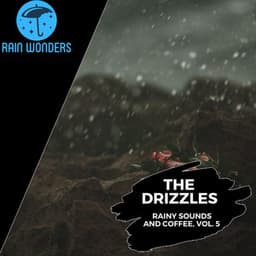 The Drizzles - Rainy Sounds and Coffee, Vol. 5 - Rain Sounds