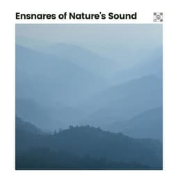 Ensnares of Nature's Sound - Worldwide Nature Studios