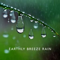 Earthly Breeze Rain: Tranquil Nature, Meditation, Sleep - The Flowing Mind