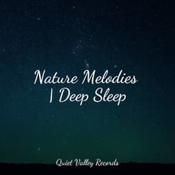 Nature Melodies | Deep Sleep - Avslappning Sound