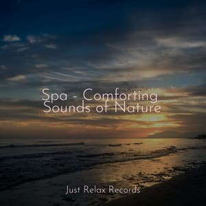 Spa - Comforting Sounds of Nature - Chakra Balancing Sound Therapy