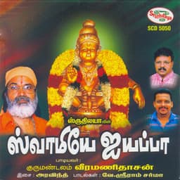 Swamiyae Ayyappa - Veeramanidasan