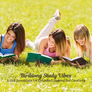 Birdsong Study Vibes: A Chill Soundscape for Enhanced Learning and Creativity - Birds Of The West