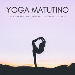 Yoga Matutino: El Mejor Ambiente Fluvial Para Tu Práctica De Yoga - Ruidos de la Selva