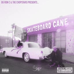 Skateboard Cane - Stockz
