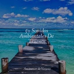 50 Sonidos Ambientales De Truenos - Sonidos de la Naturaleza Relajacion