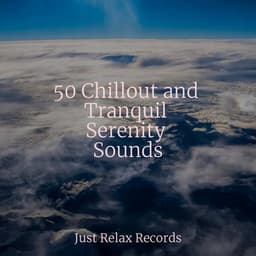 50 Chillout and Tranquil Serenity Sounds - Relaxed Minds