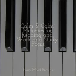 Calm & Calm Melodies for Reading and Work and Study Focus - Piano Love Songs