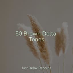 50 Brown Delta Tones - Mantra para Meditar