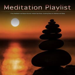 Meditation Playlist: 1 Hour Meditation and Nature Sounds, Ambient Spa Music, Soothing Music for Wellness and Sleep - Meditation Music Playlist